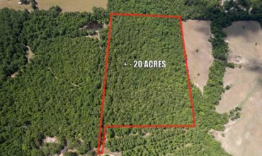 20 acres in Angelina County