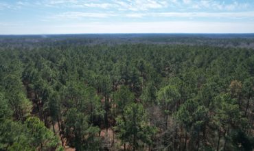 1.46 acres in Angelina County