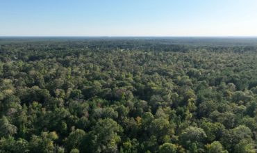 93 acres in Angelina County, Texas