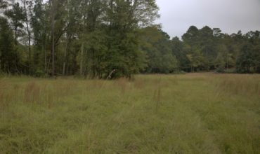 10 acres in Nacogdoches County