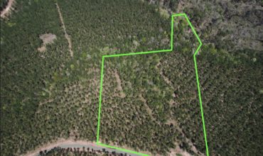 13.6 acres in San Augustine County