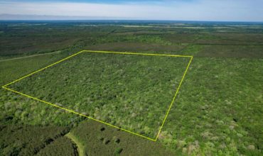 160 Acres Timber Land in Liberty County