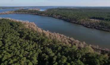 40 acres in San Augustine County