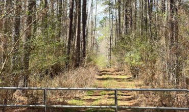 5.4 acres in Nacogdoches County