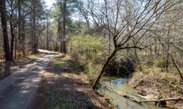 62 acres in Nacogdoches County