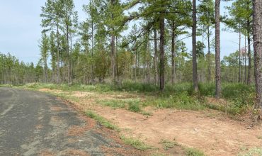 Angel Pines – Lot 28