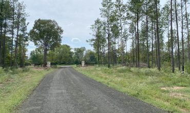 Angel Pines – Lot 20