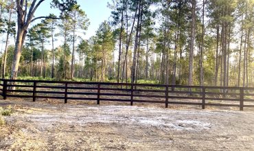 Angel Pines – Lot 22