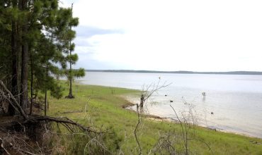 3.2 Acres of Beautiful Sam Rayburn Water front in Eagle’s Landing subdivision – Lot 57