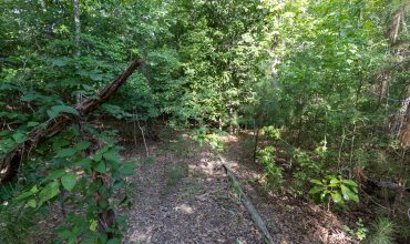 56.5 Wooded Acres in Woodville Tx Tyler County