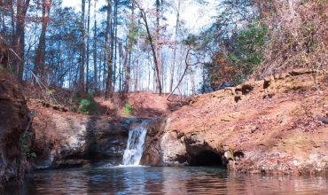 Rolling Hills and Natural Springs on 277 Acres in Nacogdoches County