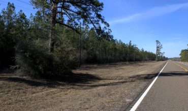 A Pristine 17-Acre Escape into Nature – Kountze, Texas