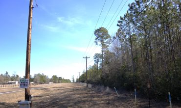 Discover Your Dream Escape: Secluded 10.3-Acre Pine Woods in Kountze, Texas