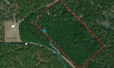 Secluded 80 (+/-) ac Timber Tract w/ National Forest Bordering