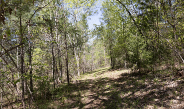 Nature Lover’s Paradise in Nacogdoches County